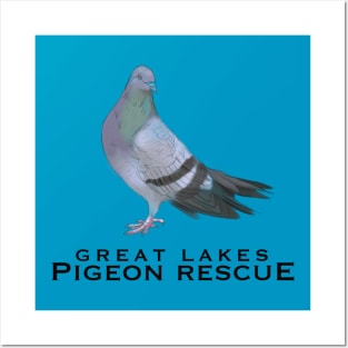 Great Lakes Pigeon Rescue Mascot - Black Letters Posters and Art